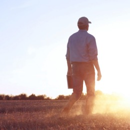 a farmer on land