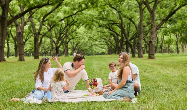 a group of people having a picnic in a grove forest