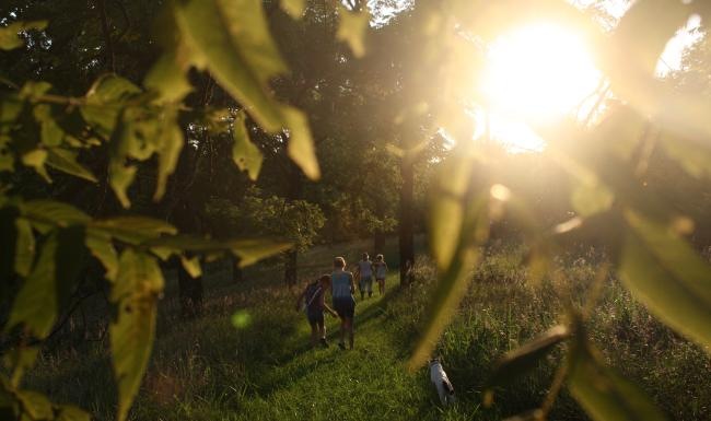 a group of people walking through a forest